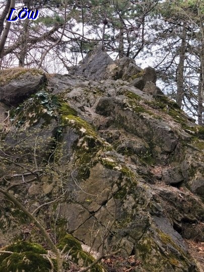 16.3.2026 - Predigerstuhl 